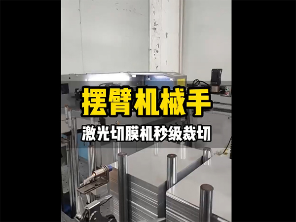 东莞摆臂机械手